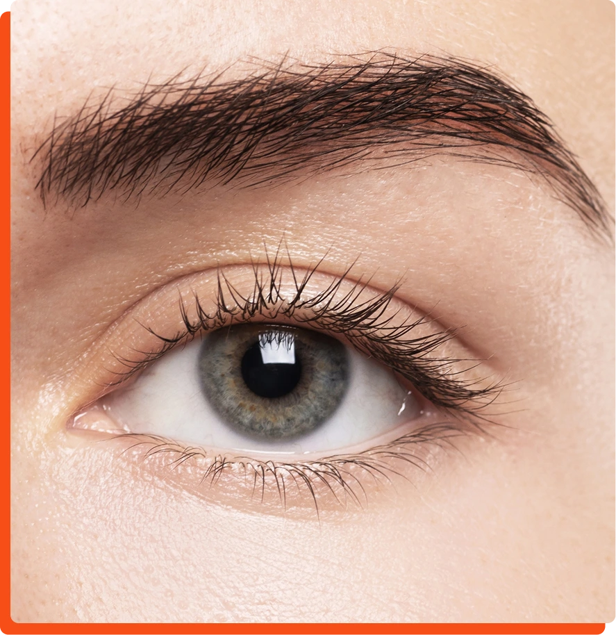 Face Surgery in Miami, FL Brow Lift